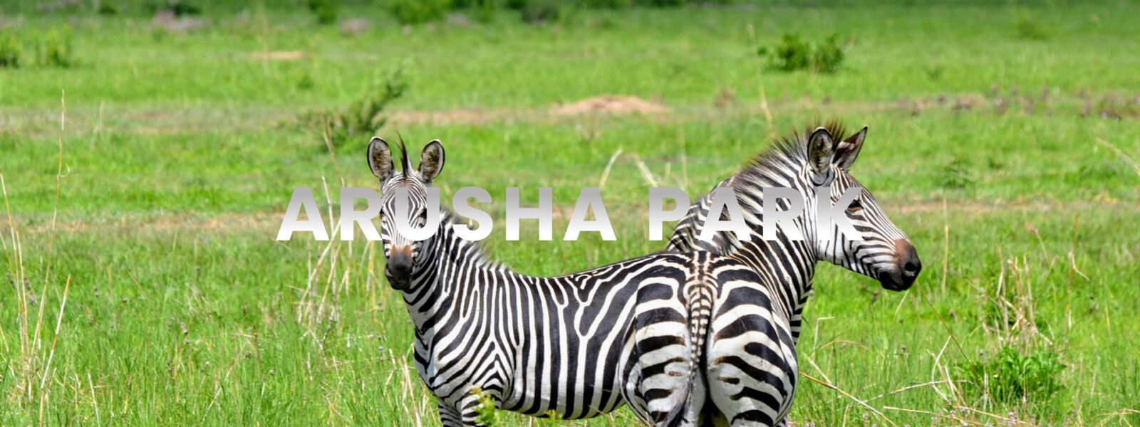 Arusha National Park
