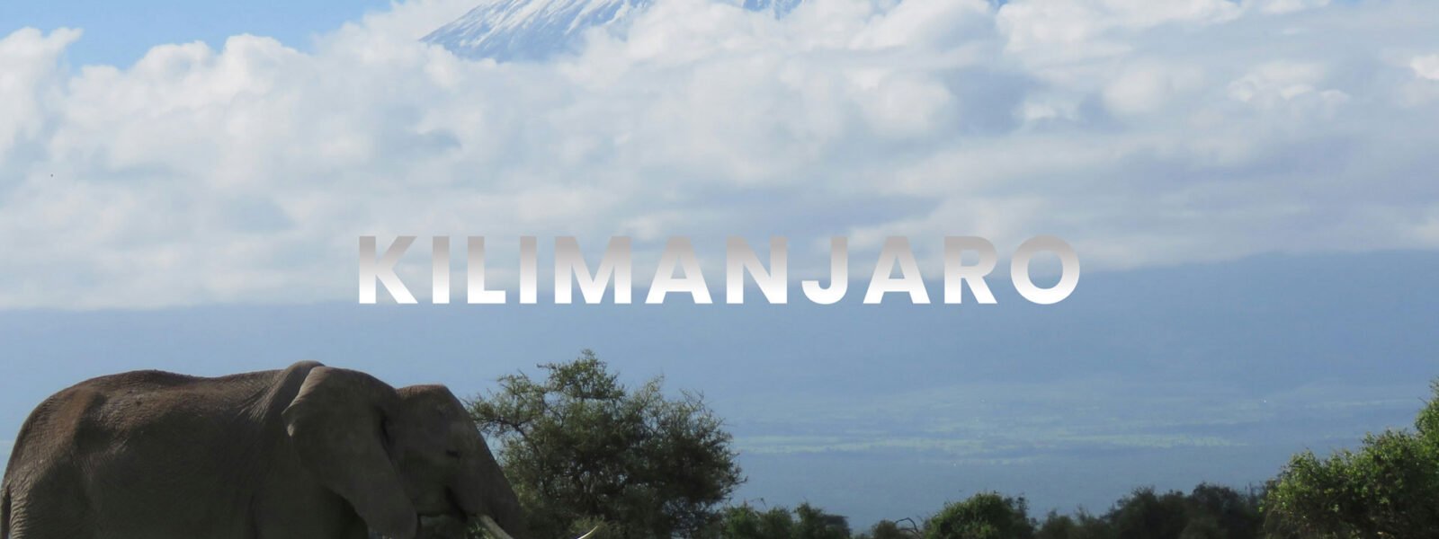 Mount Kilimanjaro National Park