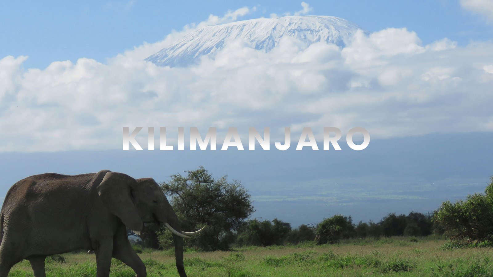 Mount Kilimanjaro National Park