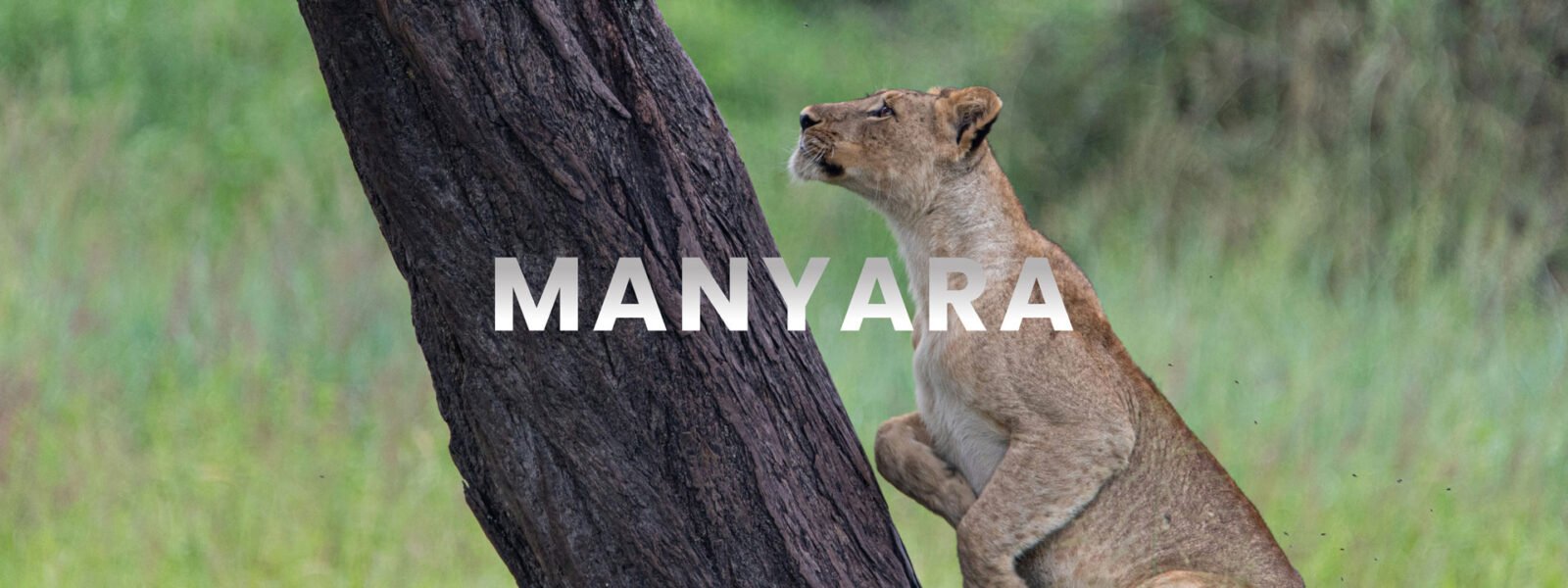 Lake Manyara National Park