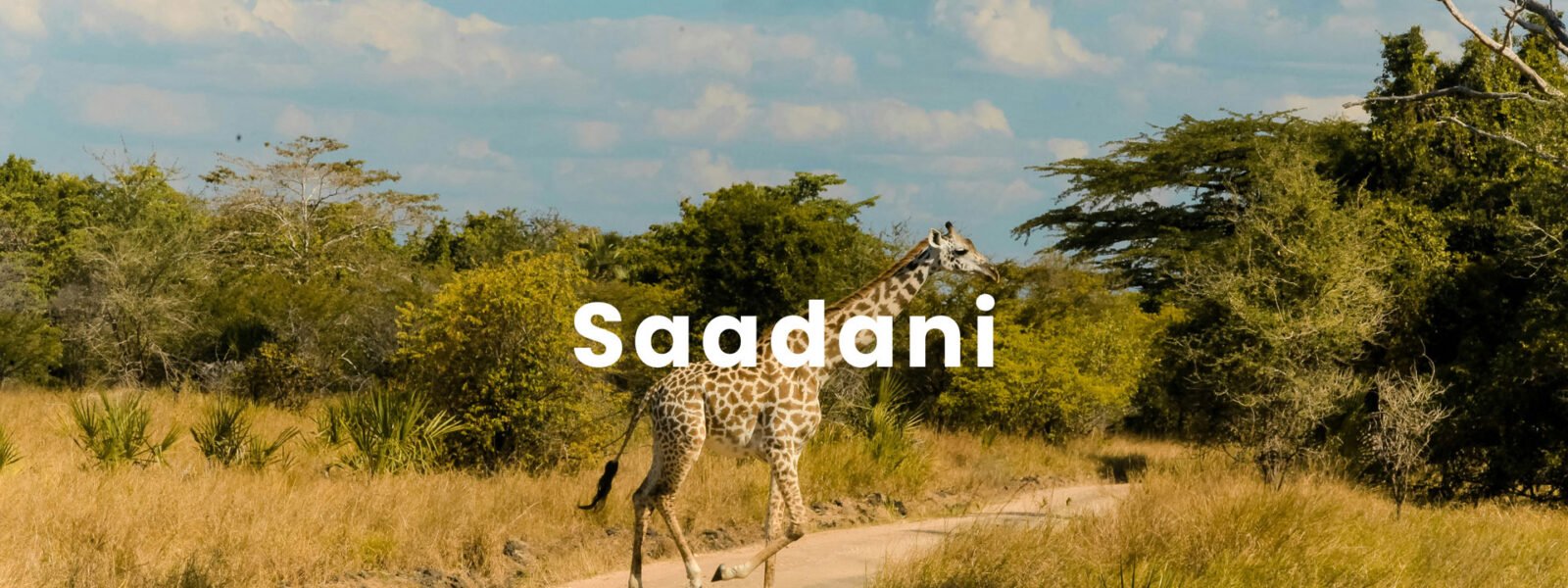Saadani National Park
