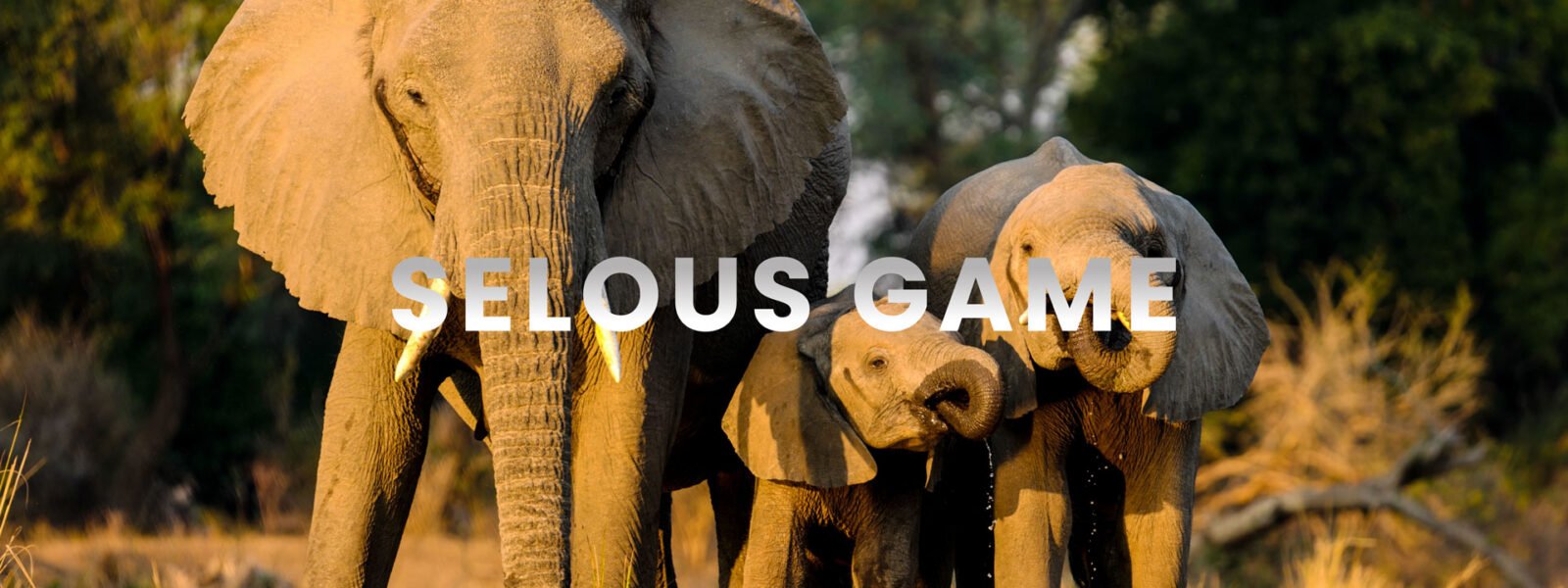 Nyerere National Park (Selous Game Reserve)