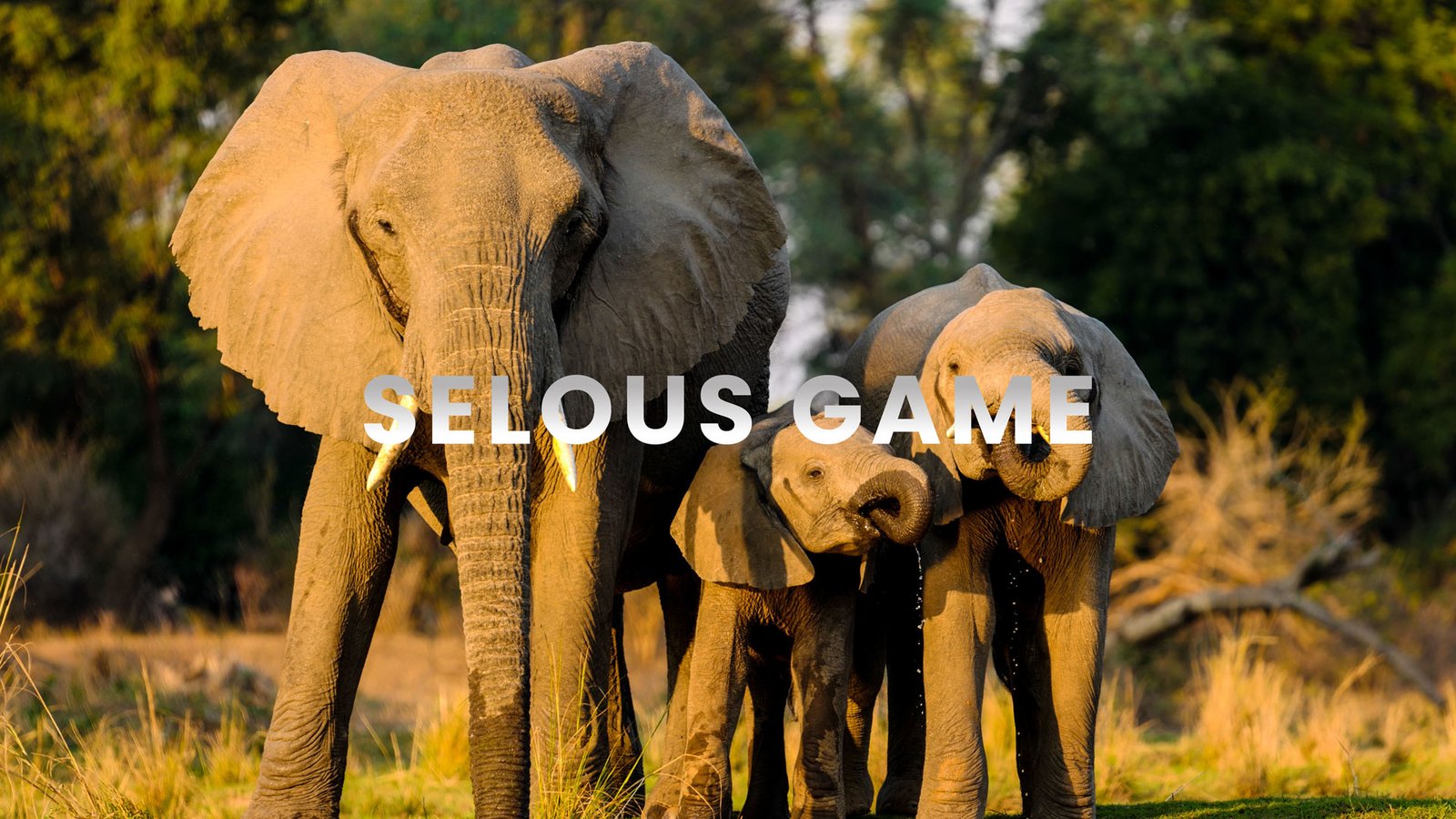 Nyerere National Park (Selous Game Reserve)