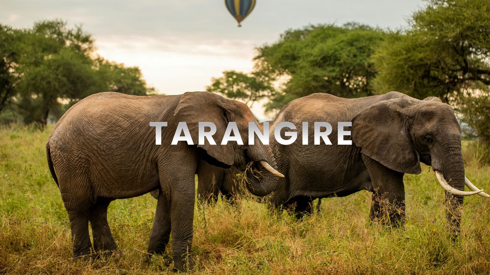 Tarangire National Park