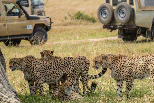 Kilimanjaro & Safari Honeymoon Adventure