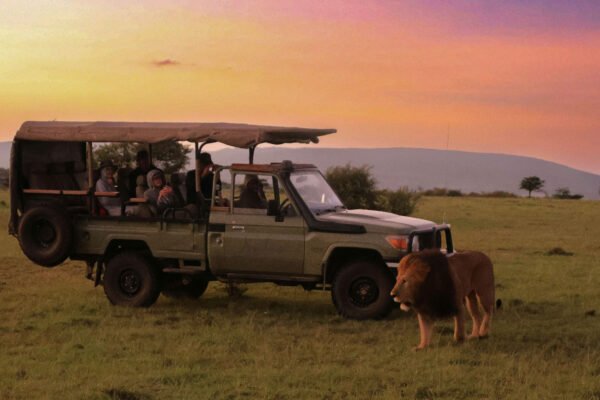 10‑Day Luxury Safari & Zanzibar Honeymoon