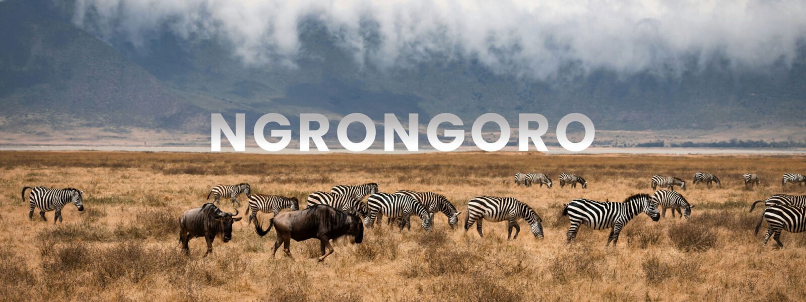 Ngorongoro Crater