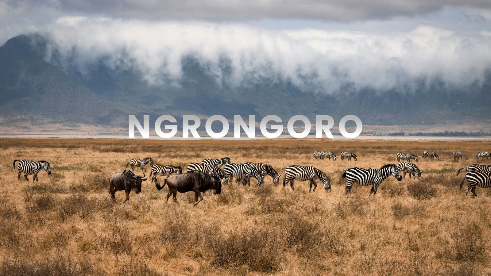 Ngorongoro Crater