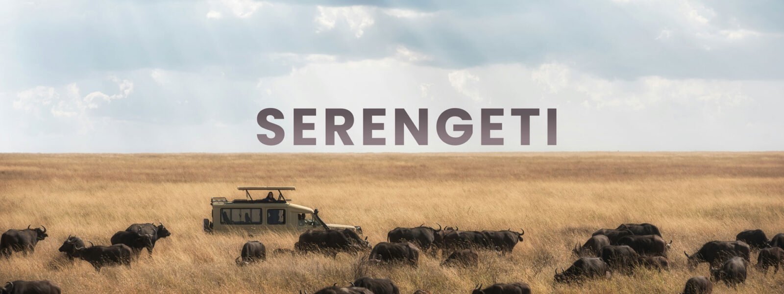 Serengeti National Park