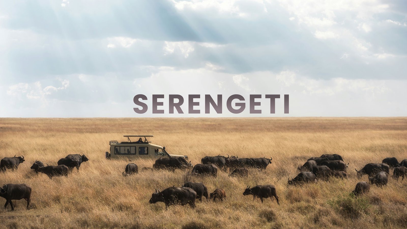 Serengeti National Park