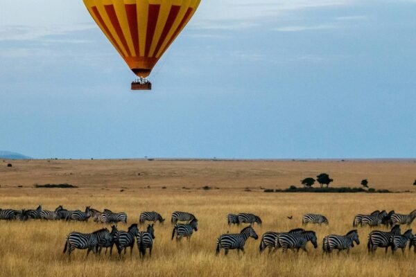 Crown of the North Luxury Safari – 6‑Day Exclusive Northern Tanzania Experience