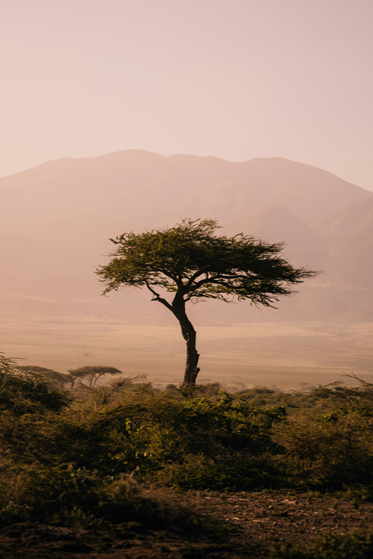 Serengeti National Park